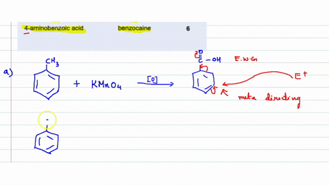 3-benzocaine-5-is-a-local-anaesthetic-which-is-formed-from-4-aminobenzoic-acid-4-sections-222-224-sm