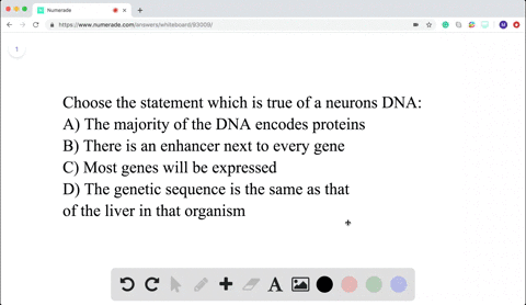 Regulation of Gene Expression | Campbell Biology Regulation of Gene Expression | Campbell Biology