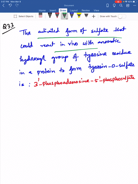activated-sulfate-fibrinogen-contains-tyrosine-osulfate-propose-an-activated-form-of-sulfate-that-co
