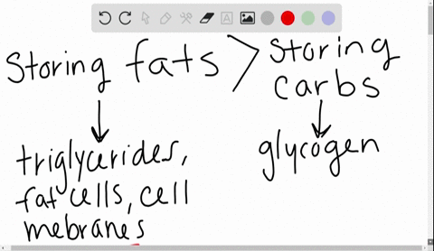 why-are-fats-a-good-source-of-energy-for-storage-in-the-body-3
