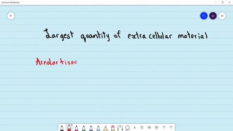 which-one-of-the-following-contains-the-largest-quantity-of-extracellular-material-a-striated-muscle