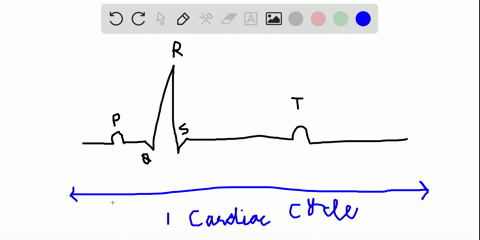 during-systole-of-the-cardiac-cycle-the-a-ventricles-of-the-heart-are-both-relaxed-b-ventricles-of-t