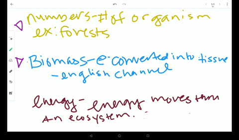 compare-the-three-types-of-ecological-pyramids-and-how-well-they-describe-ecosystem-structure-identi