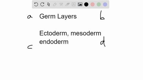 which-of-the-following-is-not-derived-from-the-ectoderm-a-adrenal-medulla-b-epidermis-of-skin-c-live