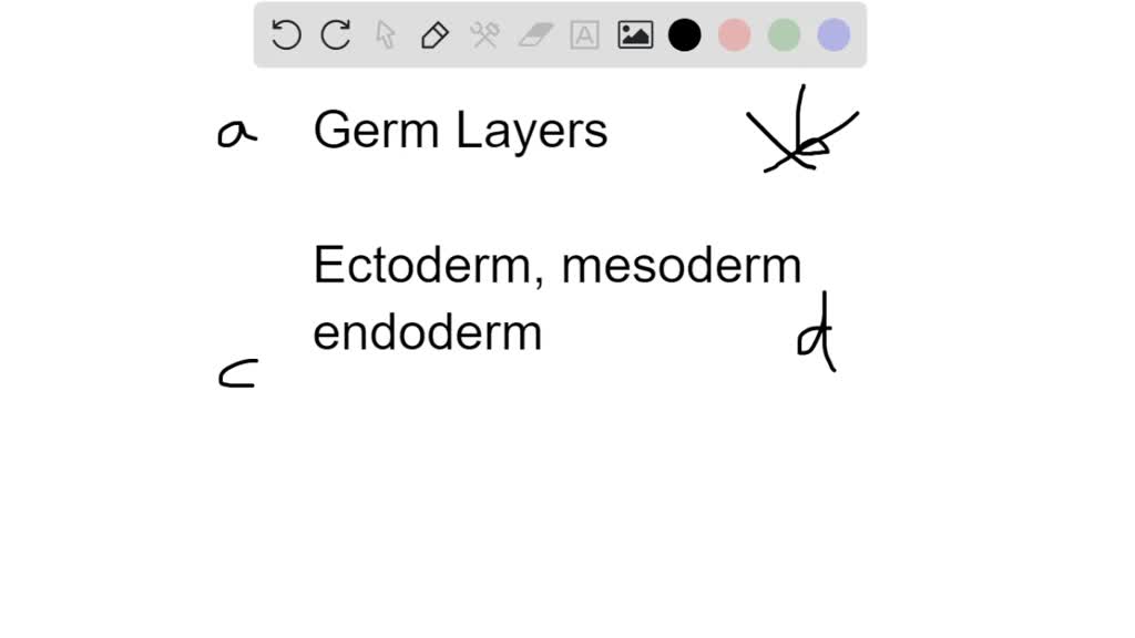 SOLVEDWhich of the following is not derived from the ectoderm? a