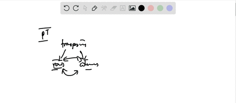 for-the-following-matrices-beginaligned-mathbfaleftbeginarrayrrr-1-2-3-0-3-4-endarrayright-quad-ma-8