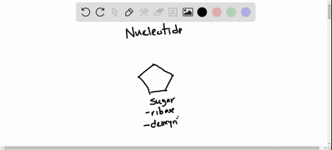 both-dna-and-rna-are-composed-of-nucleotides-what-molecules-combine-to-form-a-nucleotide