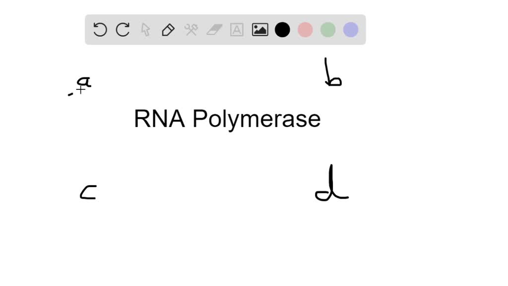 What Is The Function Of The TATA Box In A Sequence Of SolvedLib