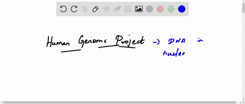 the-human-genome-project-a-sequenced-all-the-dna-in-the-nuclear-human-genome-b-was-exclusively-conce