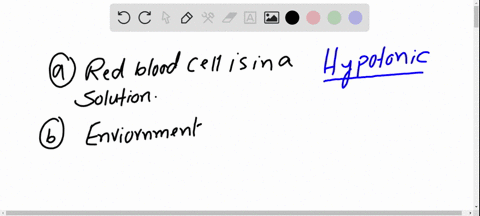 use-the-accompanying-image-to-select-the-correct-terms-in-the-statements-below-each-of-the-cells-sho