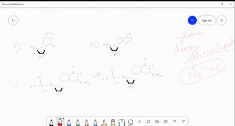 identify-structure-of-cytosine-deoxyribo-nucleoside