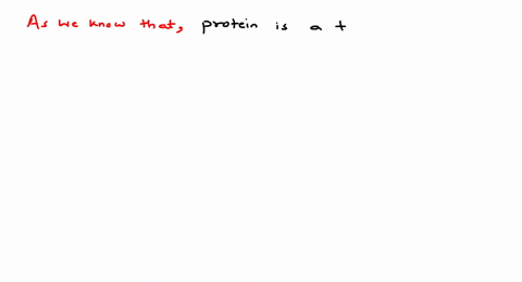 protein-is-a-homopolymer-b-heteropolymer-c-polypeptide-d-both-b-and-c