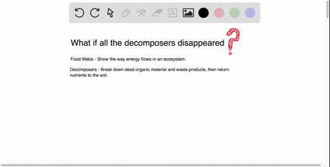 how-might-a-food-web-change-if-all-decomposers-were-eliminated-from-it