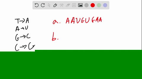 list-the-sequences-of-the-mrna-molecules-transcribed-from-the-following-template-dna-sequences-a-mat