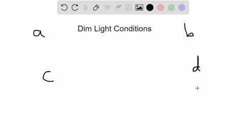 which-of-the-following-statements-explains-why-vision-is-less-sharp-in-dim-light-than-in-bright-ligh