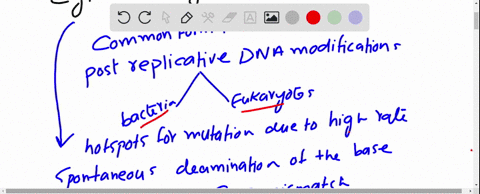 a-dna-fragment-with-the-following-base-sequence-has-some-cytosine-bases-that-are-methylated-indicate