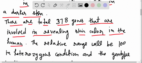 in-skin-color-inheritance-what-will-be-the-relative-range-of-pigmentation-in-offspring-arising-from-