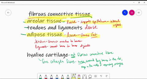 Solved:which Connective Tissue Specializes In Storage Of Fat? A. Tendon B.  Adipose Tissue C. Reticular Tissue D. Dense Connective Tissue Solved:which Connective Tissue Specializes In Storage Of Fat? A. Tendon B.  Adipose Tissue C. Reticular Tissue D. Dense Connective Tissue