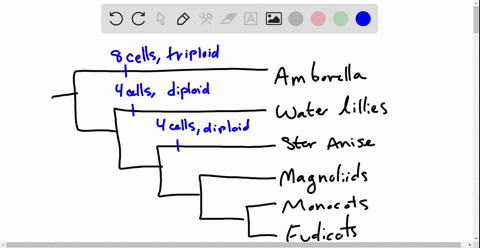 as-will-be-described-in-detail-in-chapter-38-the-female-gametophyte-of-angiosperms-typically-has-sev