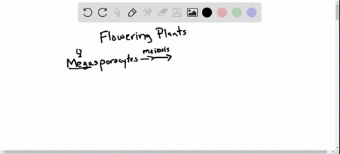in-the-angiosperm-life-cycle-which-cells-undergo-meiosis-which-cells-are-spores-which-structures-are