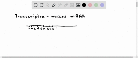 an-anticodon-would-be-found-on-which-of-the-following-types-of-rna-a-quad-snrna-small-nuclear-rna-b-