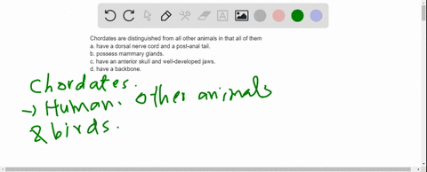 chordates-are-distinguished-from-all-other-animals-in-that-all-of-them-a-have-a-dorsal-nerve-cord-an