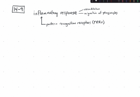 all-of-the-following-trigger-an-inflammatory-response-except-a-engagement-of-prrs-b-complement-syste
