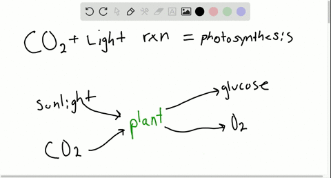 how-does-photosynthesis-help-compensate-for-increasing-atmospheric-mathrmco_2-where-does-the-mathr-2