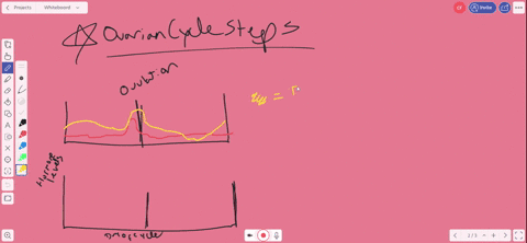 which-activity-is-a-step-in-the-ovarian-cycle-a-fsh-stimulates-the-pituitary-to-release-gnrh-b-whe-2