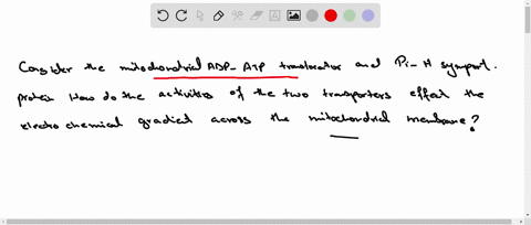 consider-the-mitochondrial-adp-atp-translocator-and-the-mathrmp_i-mathrmh-symport-protein-how-do-the