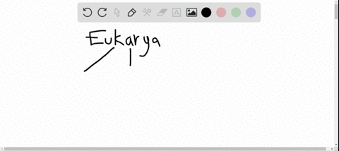 all-protists-are-alike-in-that-all-are-a-bacterial-b-photosynthetic-c-eukaryotic-d-prokaryotic-e-arc