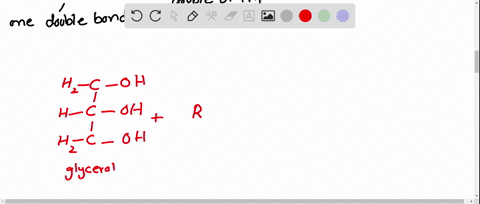 define-monoglyceride-diglyceride-and-triglyceride