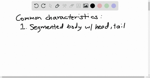 which-of-the-following-traits-is-unique-to-arthropods-a-a-ventral-nerve-cord-b-an-exoskeleton-c-segm