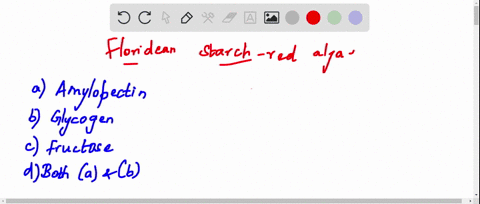 floridean-starch-is-similar-to-a-amylopectin-b-glycogen-c-fructose-d-both-a-and-b