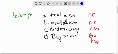 the-defining-trait-of-hominins-is-a-tool-use-b-bipedalism-c-a-big-brain-d-endothermy