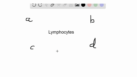 a-decrease-in-lymphocytes-would-result-in-problems-associated-with-a-clotting-b-immunity-c-oxygen-tr