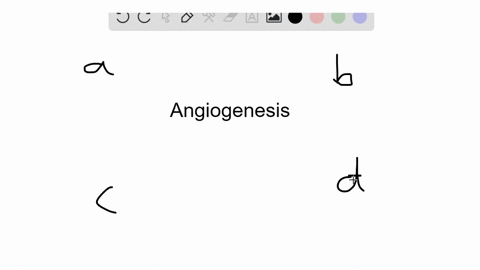 angiogenesis-a-stimulates-the-development-of-new-blood-vessels-b-activates-tumor-suppressor-genes--2