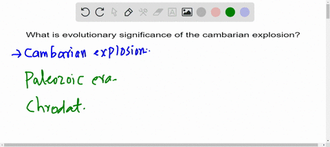 what-is-the-evolutionary-significance-of-the-cambrian-explosion