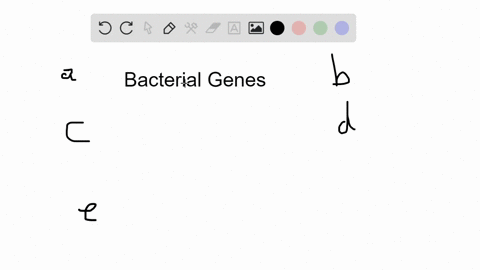 when-studying-the-differences-in-the-genes-of-bacteria-researchers-a-do-not-grow-bacteria-on-a-min-2