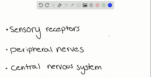 in-a-rare-condition-called-synesthesia-stimulation-of-one-sense-triggers-the-perception-of-another-s