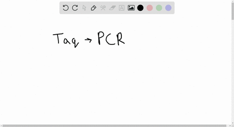 its-not-the-heat-why-is-taq-polymerase-especially-useful-for-pcr