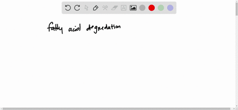 a-where-in-the-body-does-fatty-acid-synthesis-occur-b-does-fatty-acid-degradation-occur-in-the-sam-3