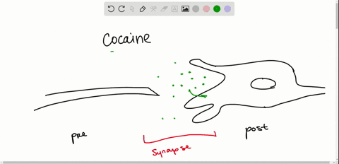 which-would-be-a-better-form-of-therapy-for-cocaine-addiction-an-inhibitor-for-the-dopamine-transp-3