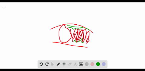 match-each-description-to-the-type-of-connective-tissue-in-the-key-a-loose-fibrous-b-adipose-tissu-4