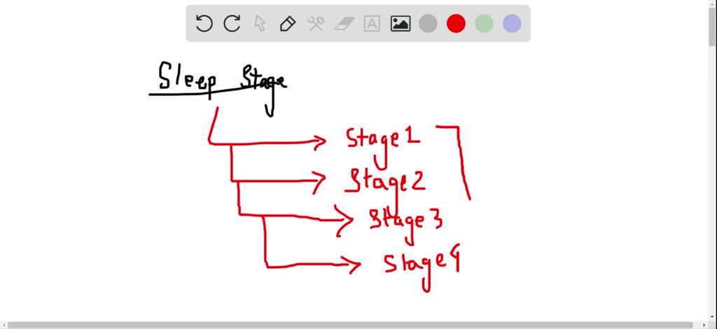 SOLVED:Explain how the orexinergic system acts as the flip-flop circuit ...