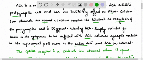 contrast-the-actions-of-acetylcholine-gaba-and-norepinephrine-at-their-respective-synapses
