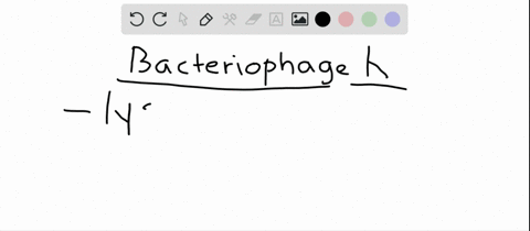 in-the-lysogenic-cycle-of-bacteriophage-lambda-a-a-repressor-ci-blocks-the-lytic-cycle-b-the-bacteri