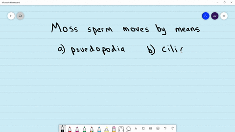 a-moss-sperm-moves-by-means-of-a-pseudopodia-b-cilia-c-flagella-d-any-of-these