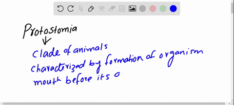 imagine-that-a-biologist-discovers-evidence-that-a-newly-discovered-animal-evolved-from-a-very-ear-2