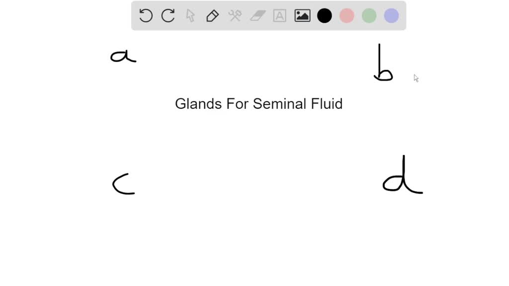 SOLVEDThe correct sequence of glands that add fluid to semen during an